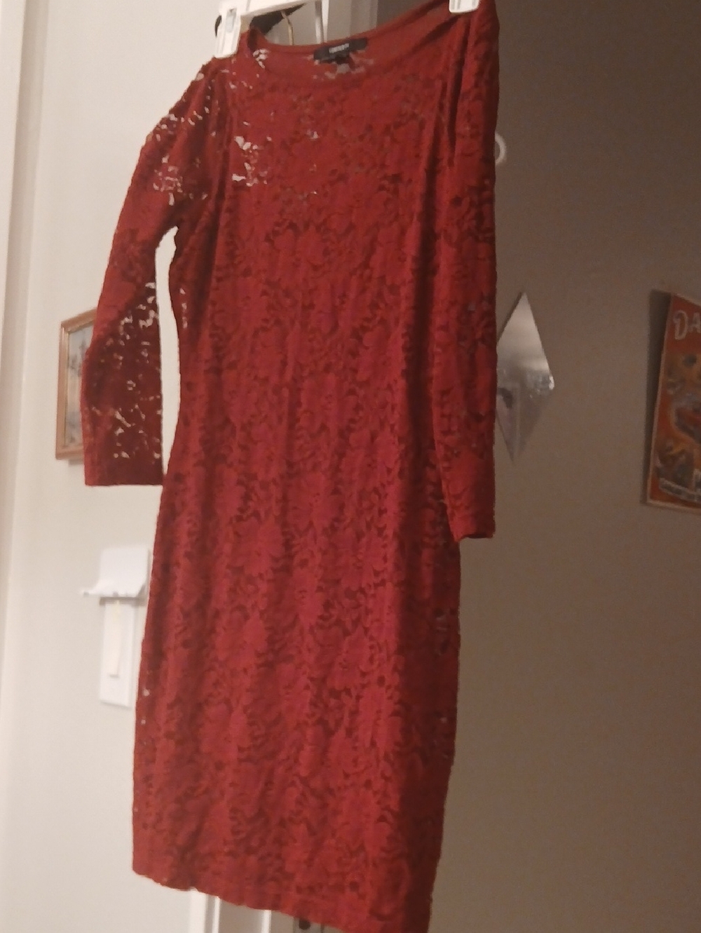 Women's Red Lace Sheath Dress
